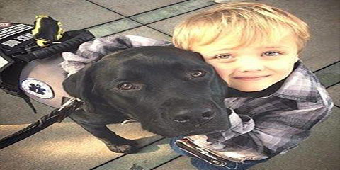 Dogs improve the quality of life of people living with Type 1 diabetes