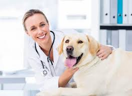 Reducing risk of developing mammary tumors