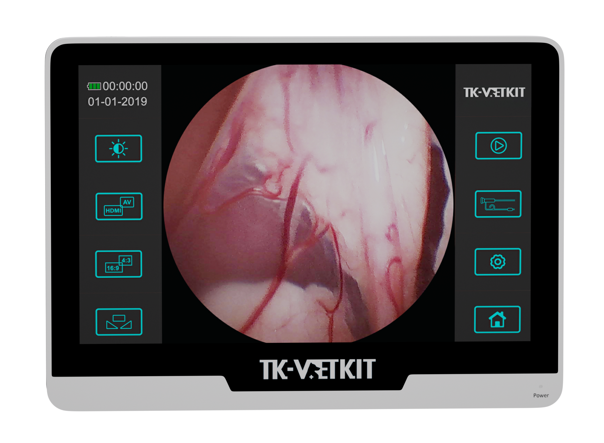 Seesheen TK-VETKIT EC-250H Portable Gastroscope with 10-inch Monitor