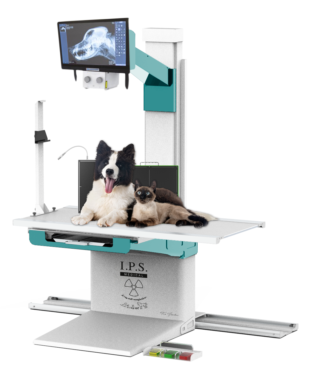 DIVINA ELITE FULL DIGITAL Variable column, rotating head and floor track