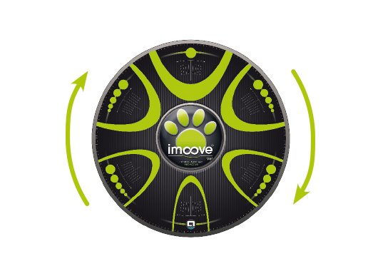 Imoove Therapy by Elispheric Movement