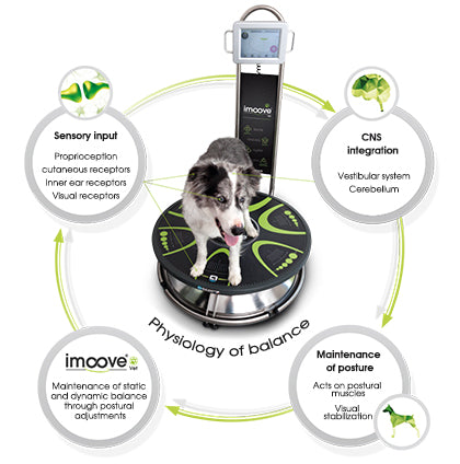 Imoove Therapy by Elispheric Movement