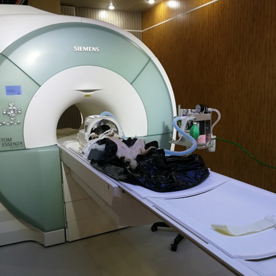 iVet VMX-1 Veterinary Anesthesia Machine