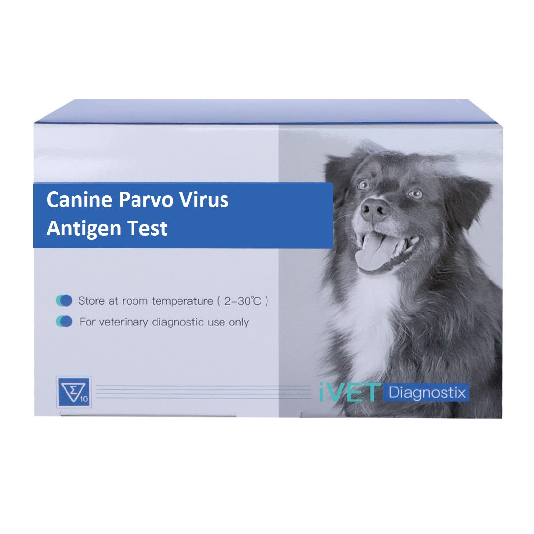 Canine parvovirus hot sale test