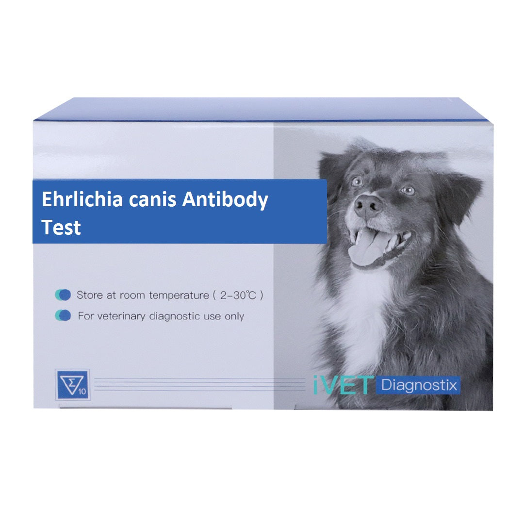 اختبار الأجسام المضادة لـ Ehrlichia Canis VD004