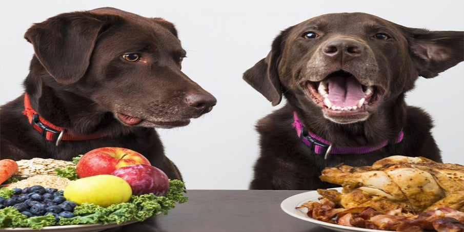 Which people food is safe for dogs and which isn't?