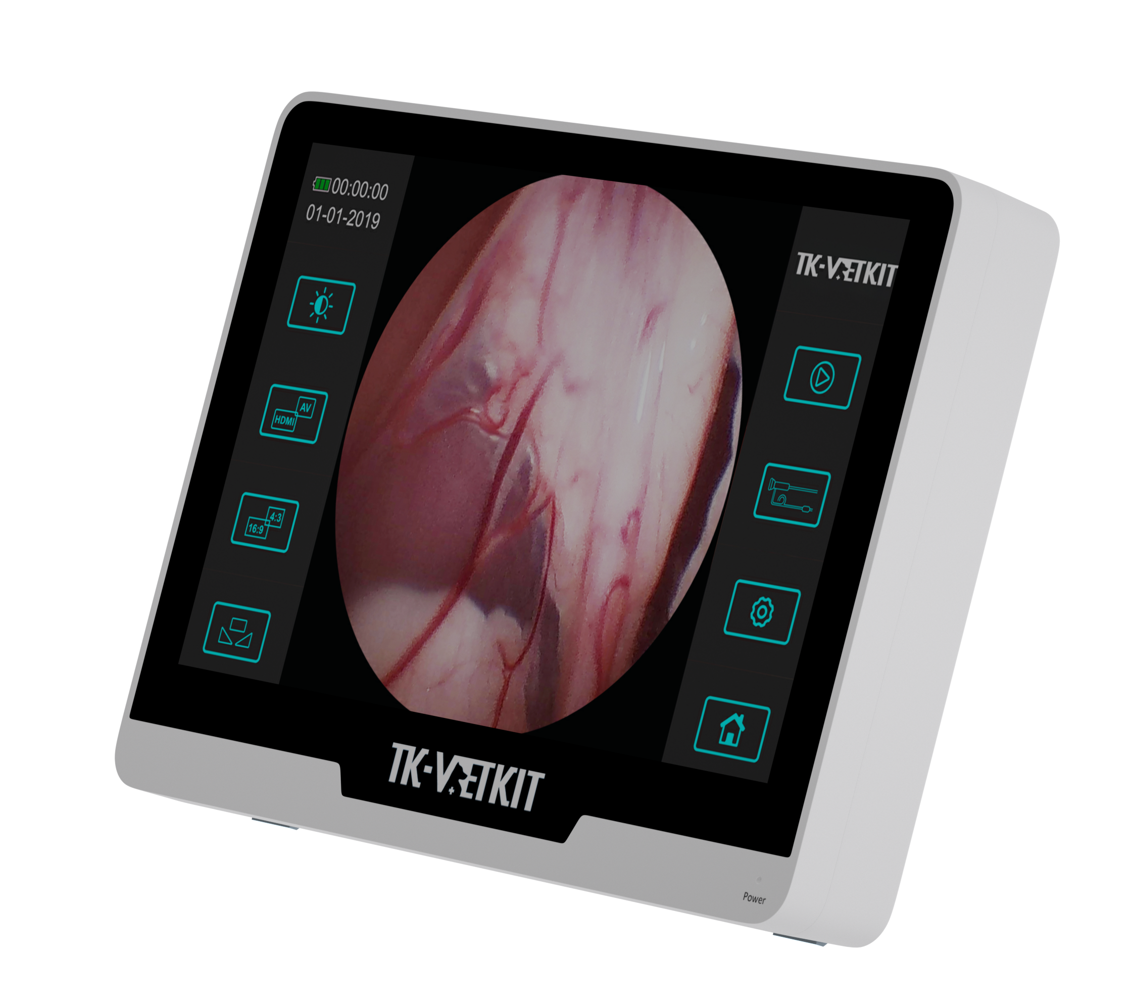 Seesheen TK-VETKIT EC-250H Portable Gastroscope with 10-inch Monitor