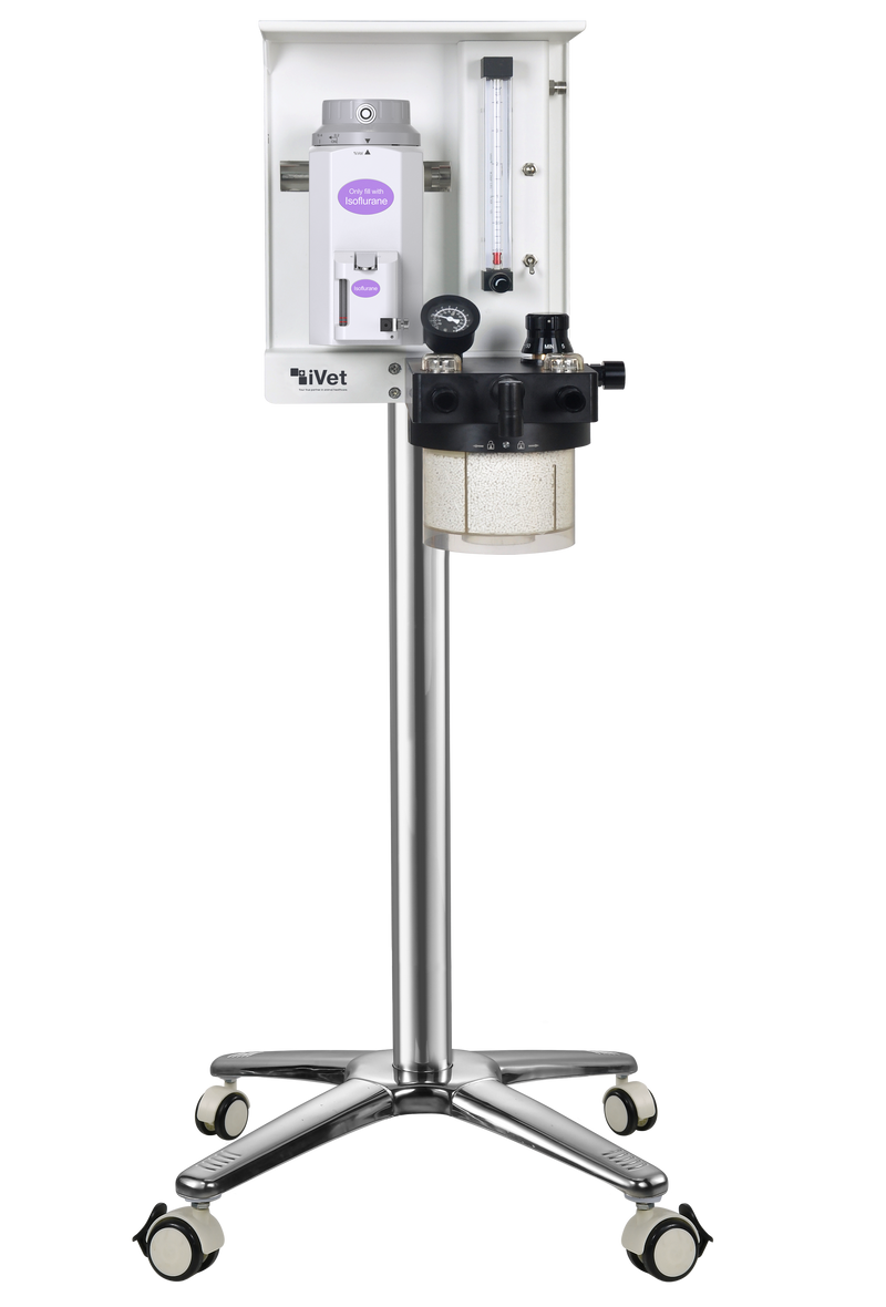iVet-X1 Veterinary Anesthesia machine
