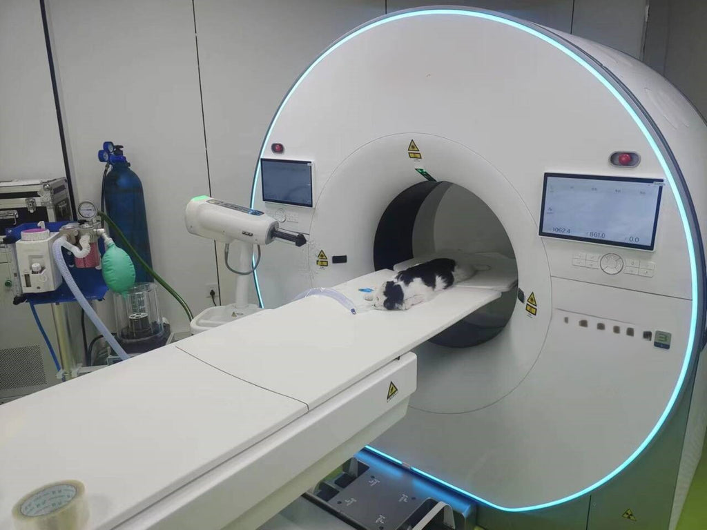 Ct Scan Inject Syringe CT Contrast Media Injector