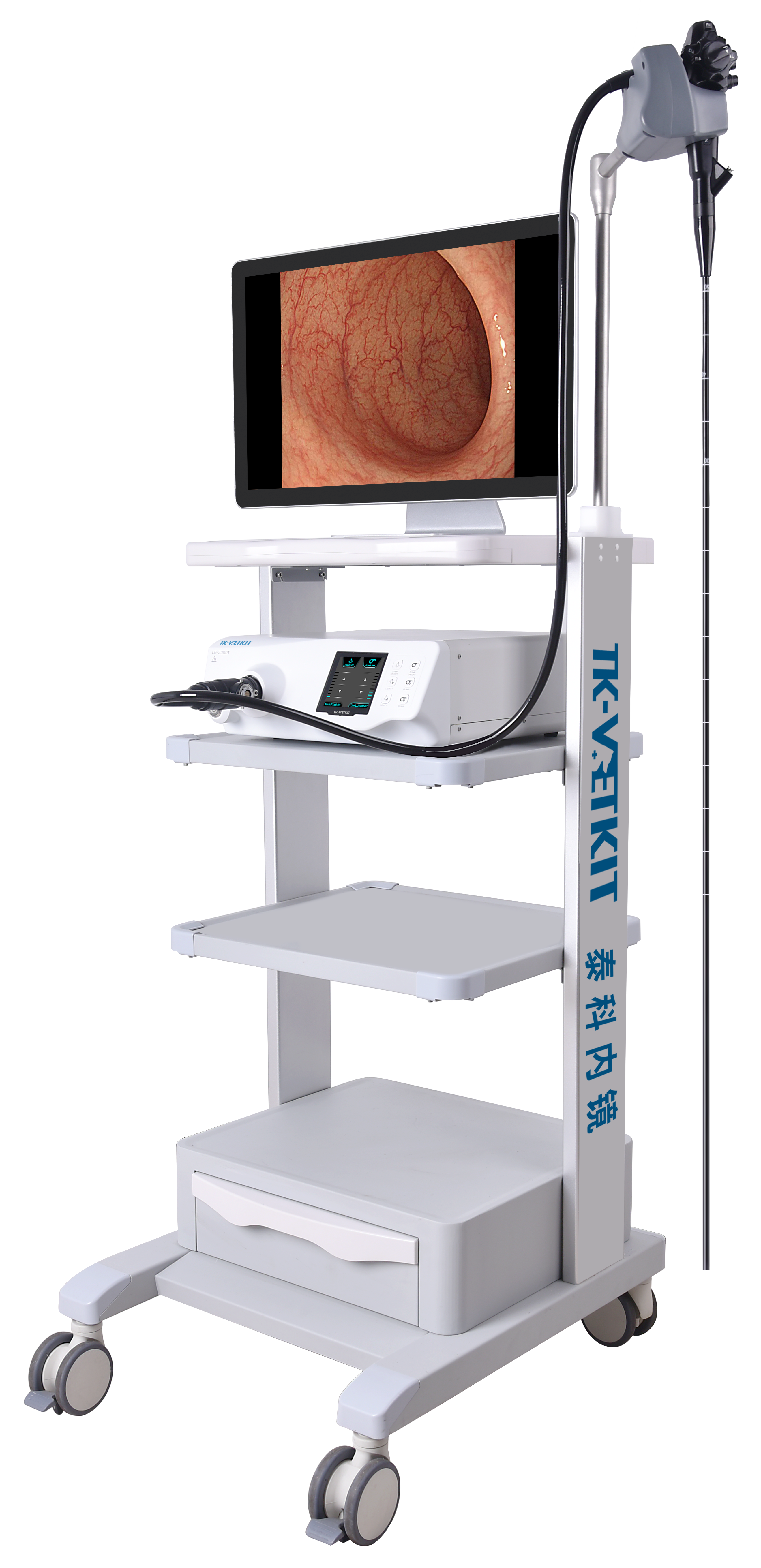 VS3 VetScope All in One Veterinary Endoscope System