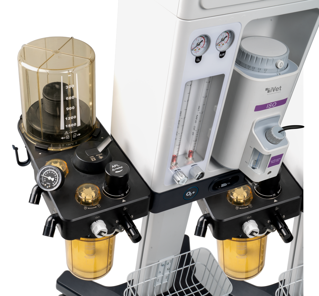 iVet ARK 7 Anesthesia machine with ventilator