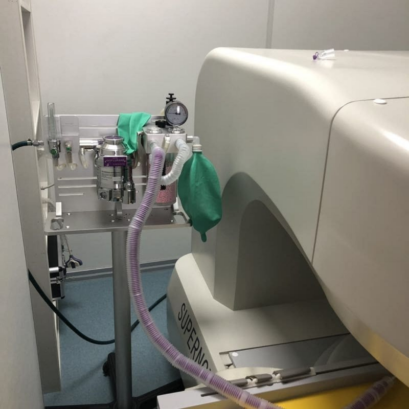 iVet VMX-1 Veterinary Anesthesia Machine