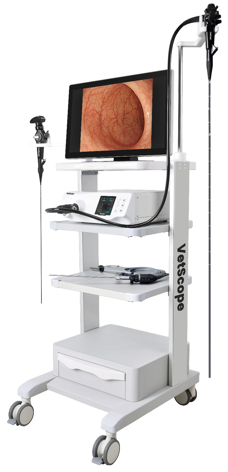VS3 VetScope All in One Veterinary Endoscope System