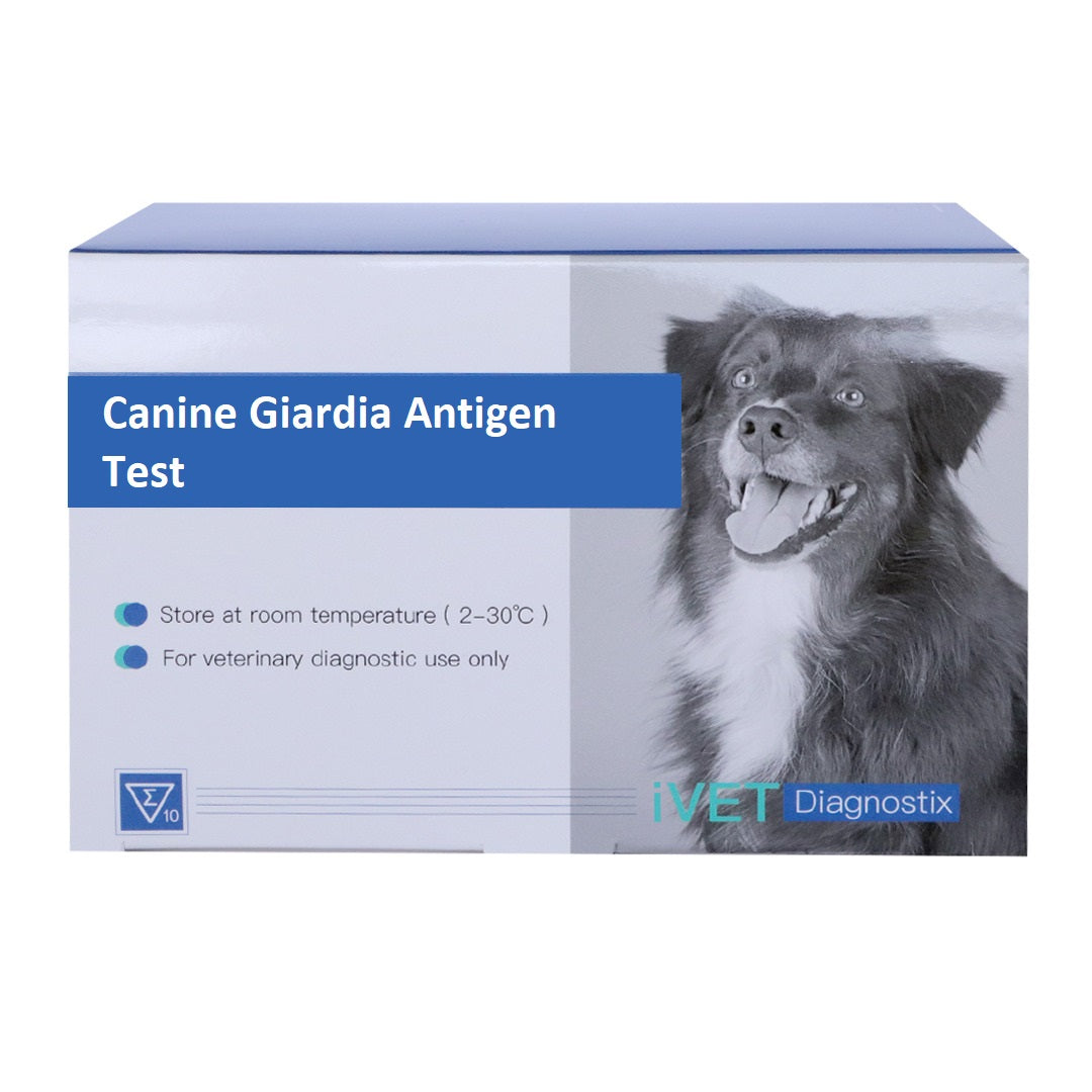 VD018 Canine Giardia Antigen 10 Tests/box