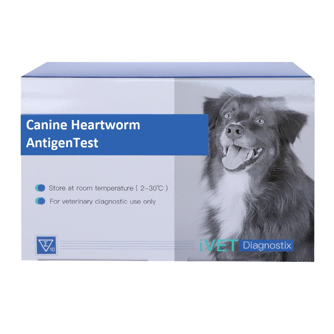 Canine Heartworm Antigen Test