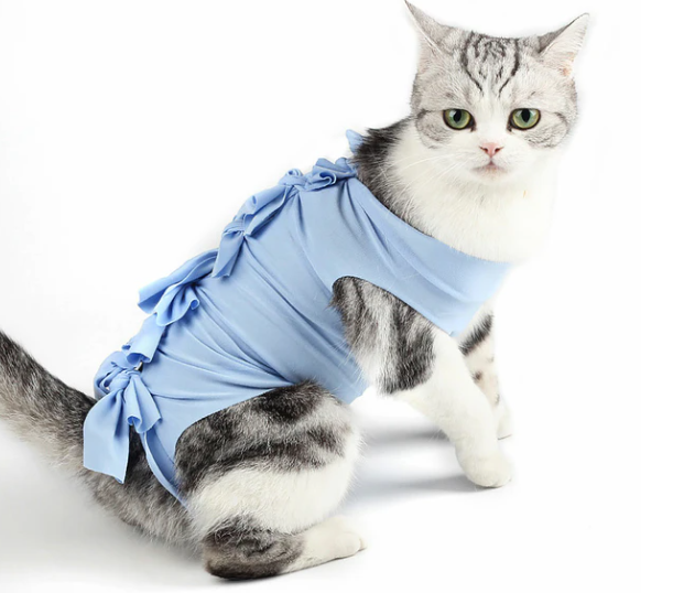 Cat Sterilization Suit