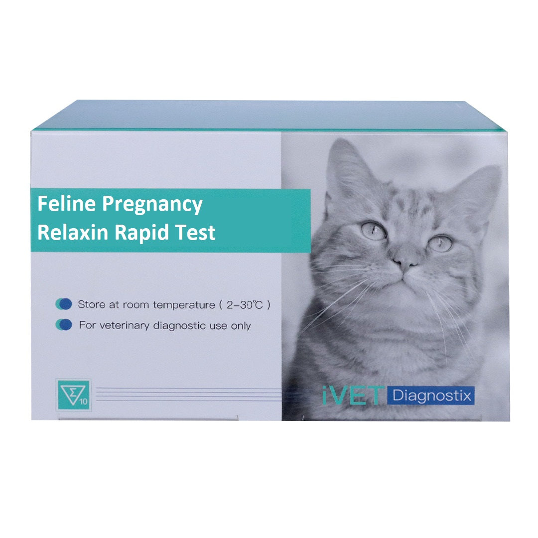 VD062 Feline Pregnancy Relaxin Rapid Test